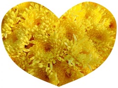 31806accd2491db6eb5fba94ae1590dc_s