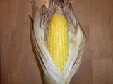 RIMG0649