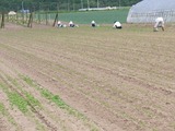 RIMG0292