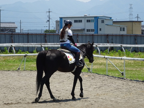DSC02910