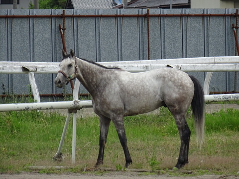 DSC01618