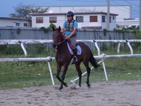 DSC08321