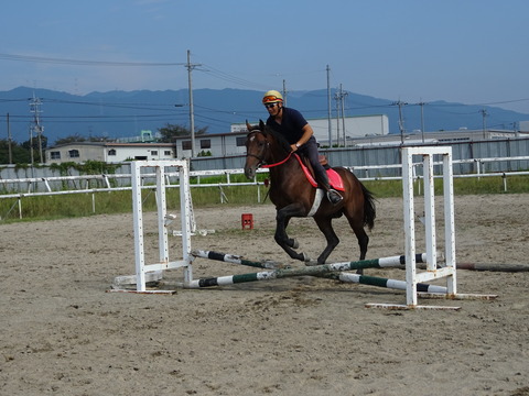 DSC04078