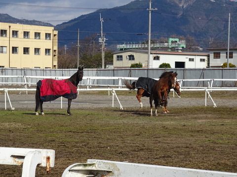DSC01046