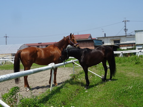 DSC02639