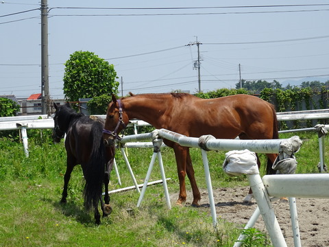DSC02629