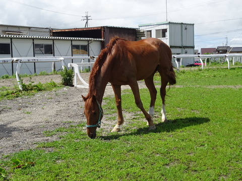 DSC08375