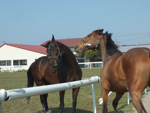 DSCF0099