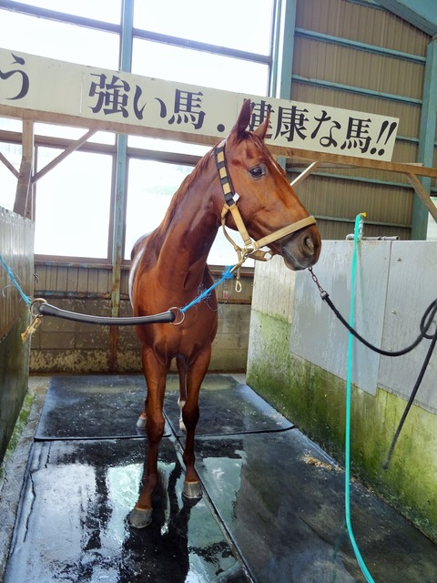 DSC08061 (2)