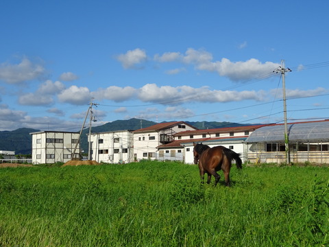 DSC00287