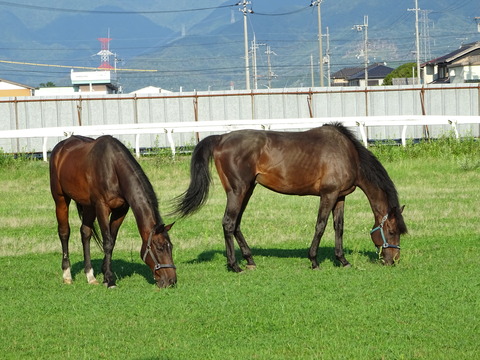 DSC09502