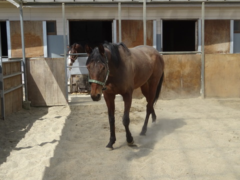DSC04876