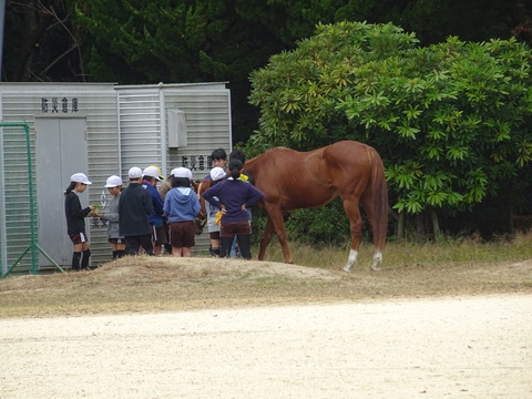 DSC01672