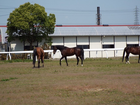 DSCF1594