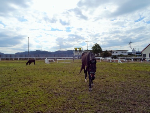 DSC04943