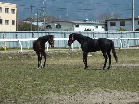 DSCF3412