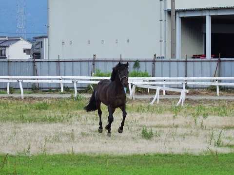 DSC03134