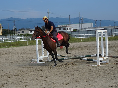 DSC04082