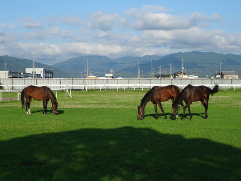 DSC09507