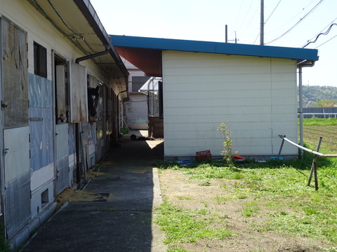DSC05312