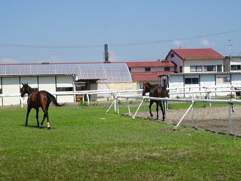 DSC03550