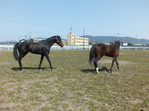 DSCF3411