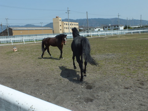 DSCF3409
