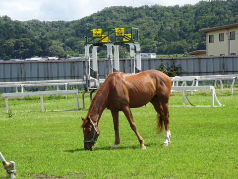 DSC08401