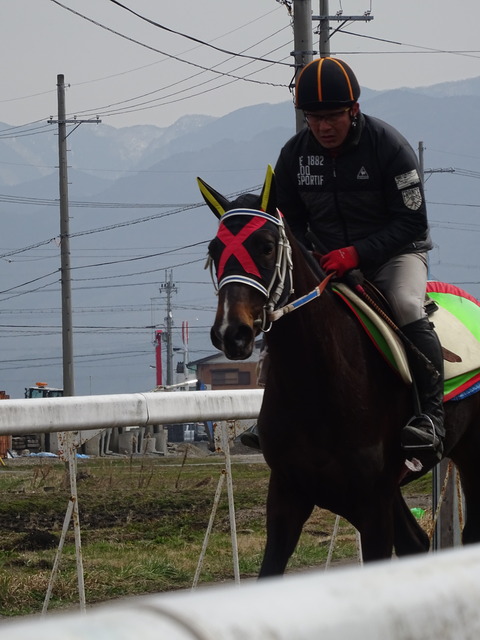 DSC03287