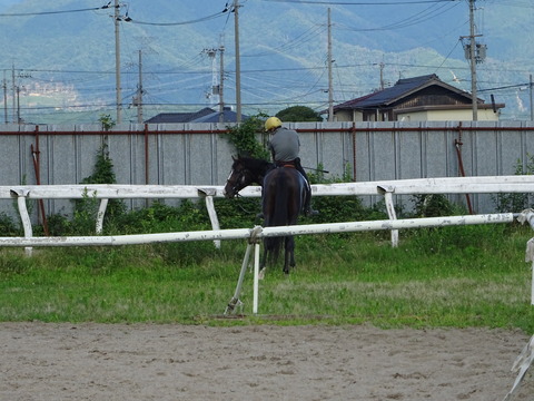 DSC09256