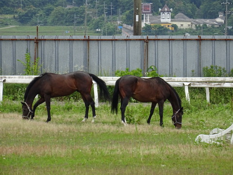 DSC02256