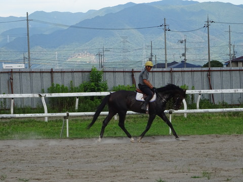 DSC09238