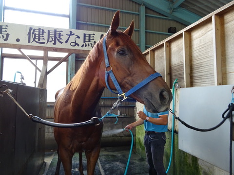 DSC00580