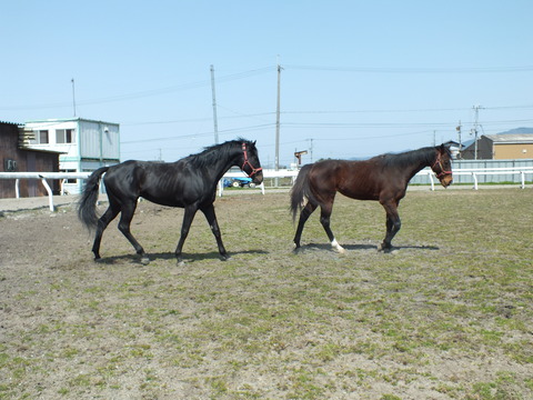 DSCF3410