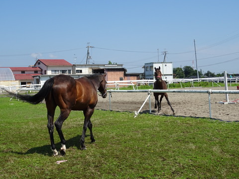 DSC03539