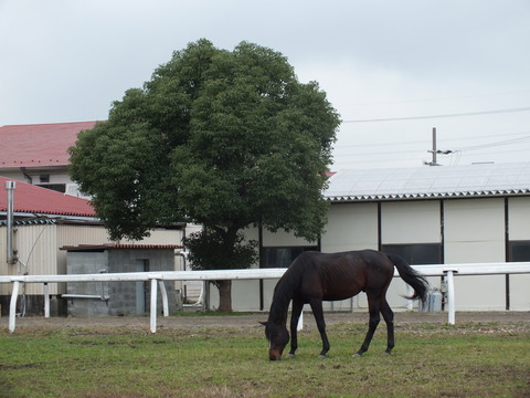 DSCF1787