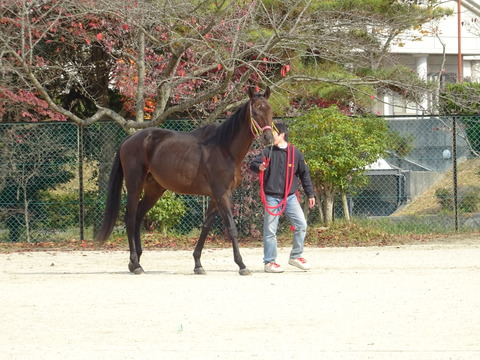 DSC01632
