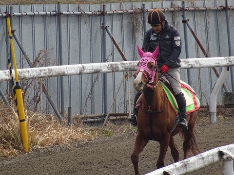 DSC03195