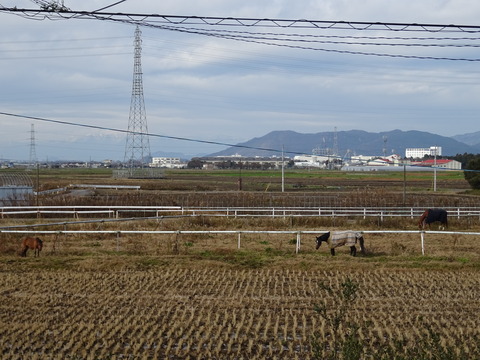 DSC04890