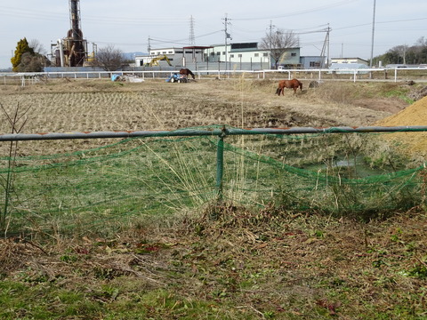 DSC09612