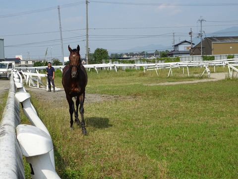 DSC04105