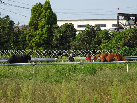 DSC04029
