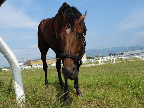 DSC04111
