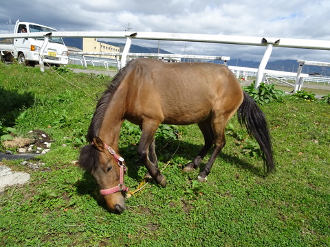 DSC05714