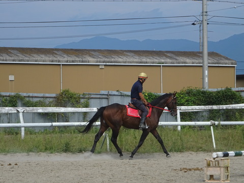 DSC04073