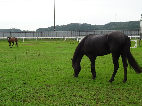 DSC02036
