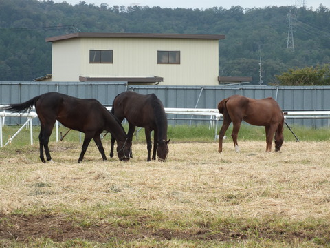 DSCF0625