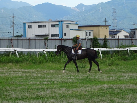 DSC09254