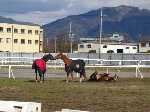DSC01054