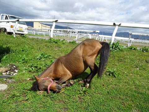 DSC05715